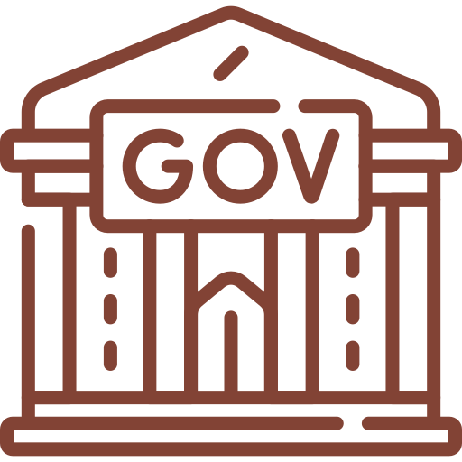 government